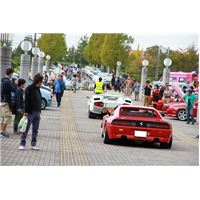 AICTRICO1012 (41).jpg